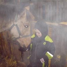 Anden særlig race Lilo *Solgt*