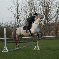 Anden særlig race Sandro.<3