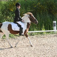 Anden særlig race Lady<3