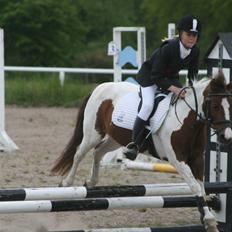 Anden særlig race Lady<3