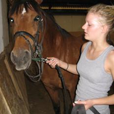 DSP Miranda <3 - aflivet :'(