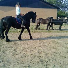 Frieser Mara (Tilred)