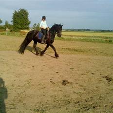 Frieser Mara (Tilred)