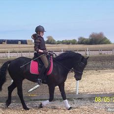 Anden særlig race Gucci R.I.P. HBP<3