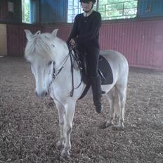 Anden særlig race Lurifax <3 "  AFLIVET"