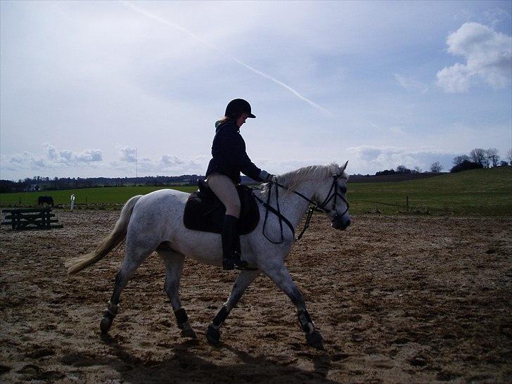 Connemara Frederiksminde Sir Prize - Dressurridning 2005 :)  billede 17