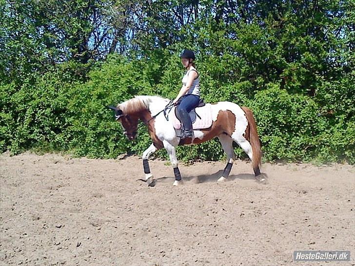 Pinto Mathilde  - Mathilde & mig! :p<3 billede 6