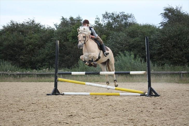 Anden særlig race Coka - GAMMEL PART - spring :-) billede 11