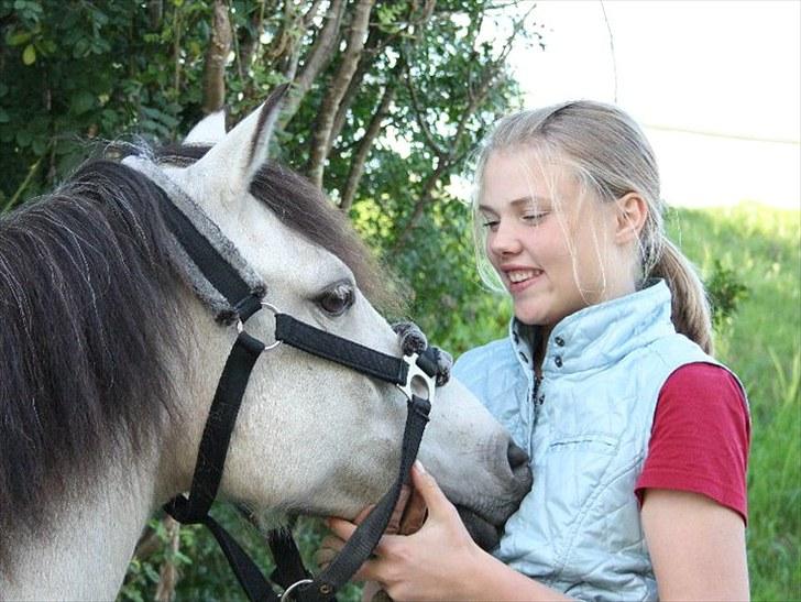 Anden særlig race Tougher - 2010) Foto: Nicoline ´Wolk. billede 6