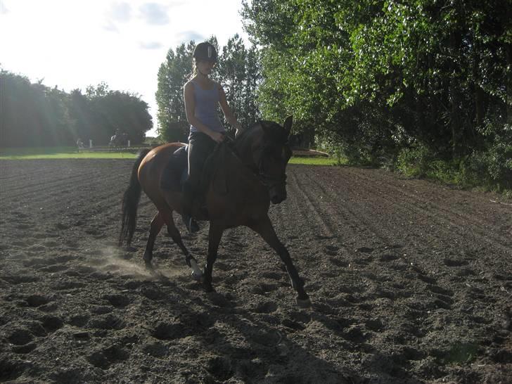 Anden særlig race Wi Linnea billede 1