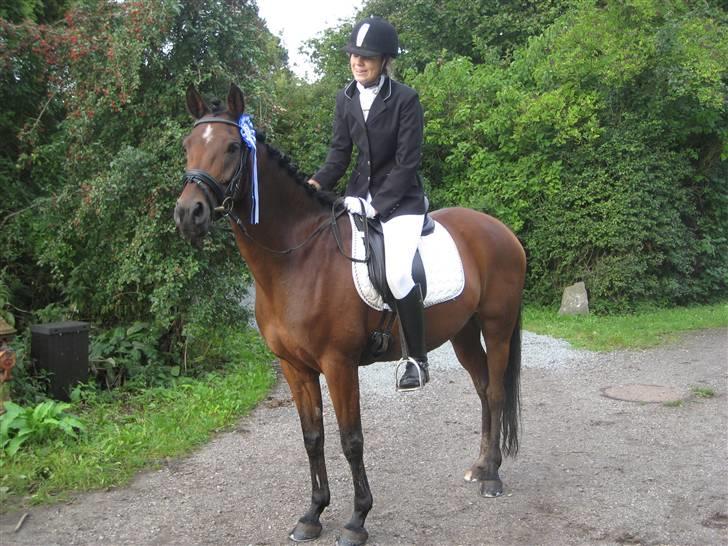 Anden særlig race Wi Linnea billede 2