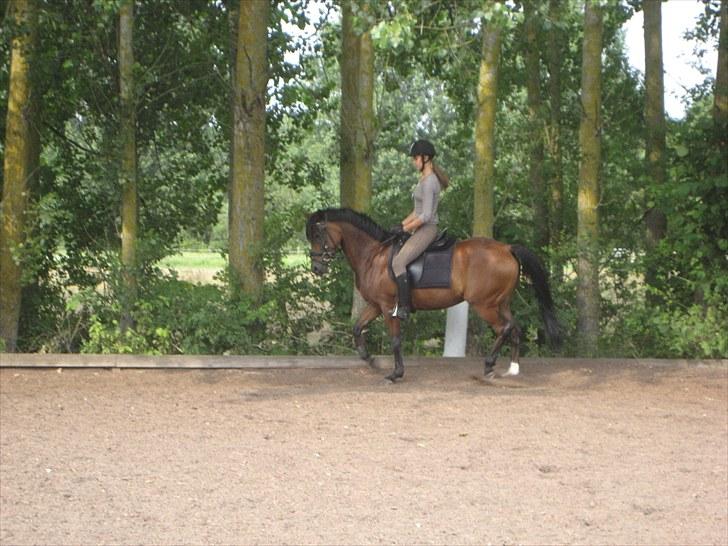 Anden særlig race Wi Linnea billede 6