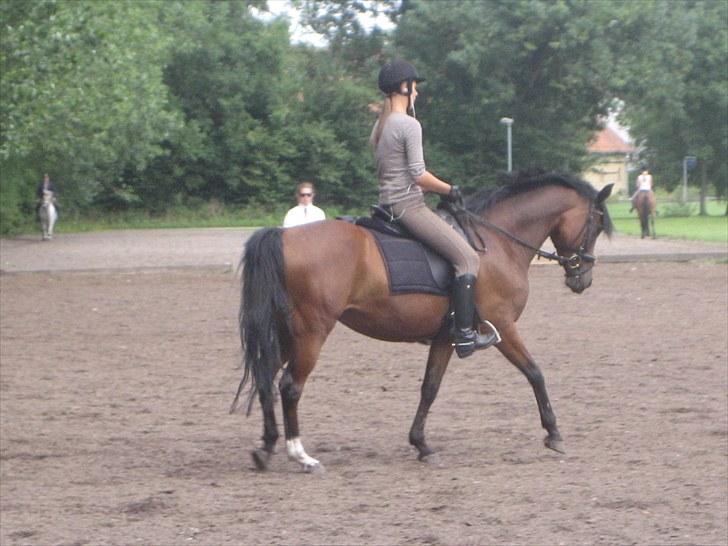 Anden særlig race Wi Linnea billede 8