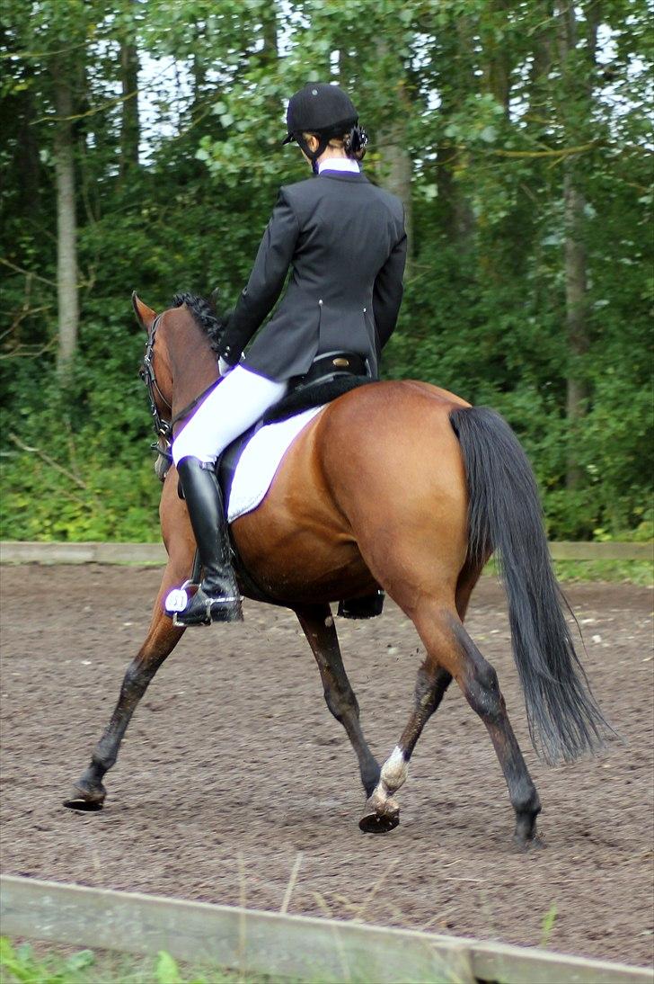 Anden særlig race Wi Linnea billede 9