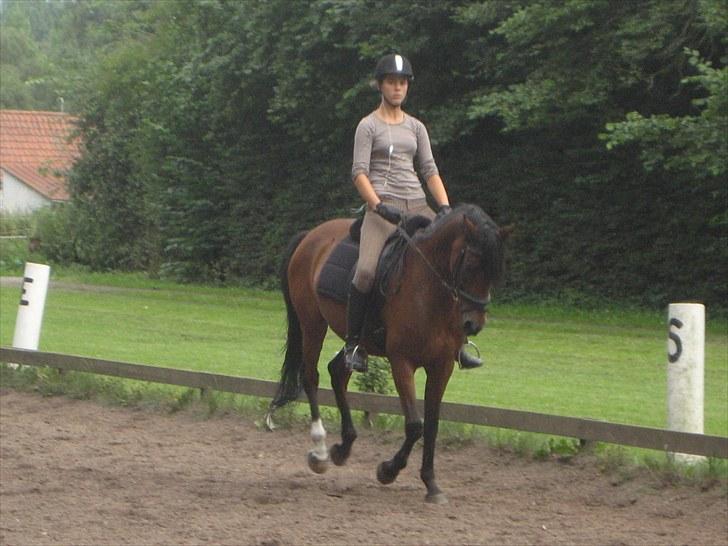 Anden særlig race Wi Linnea billede 10