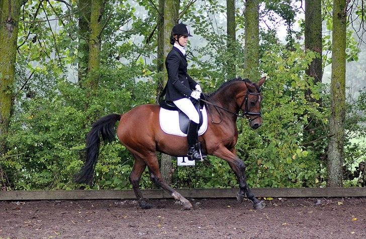 Anden særlig race Wi Linnea billede 11