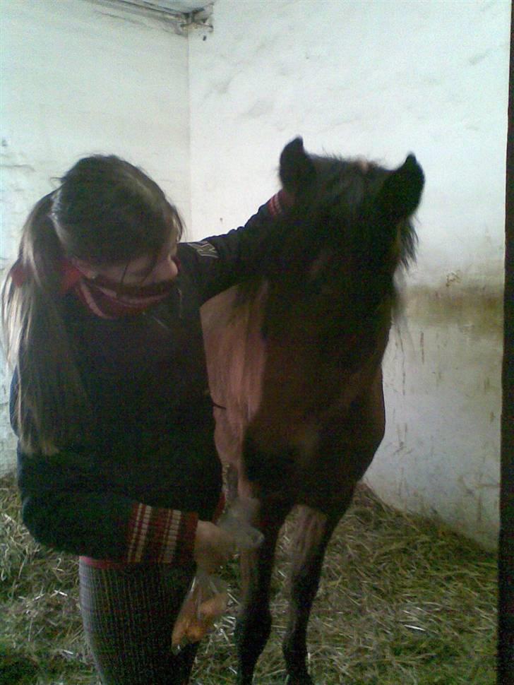 Anden særlig race Wi Linnea billede 14