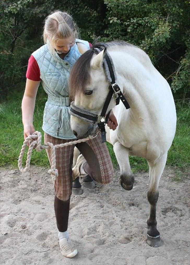 Anden særlig race Tougher - 2010)Trick Foto: Nicoline Wolk. billede 11