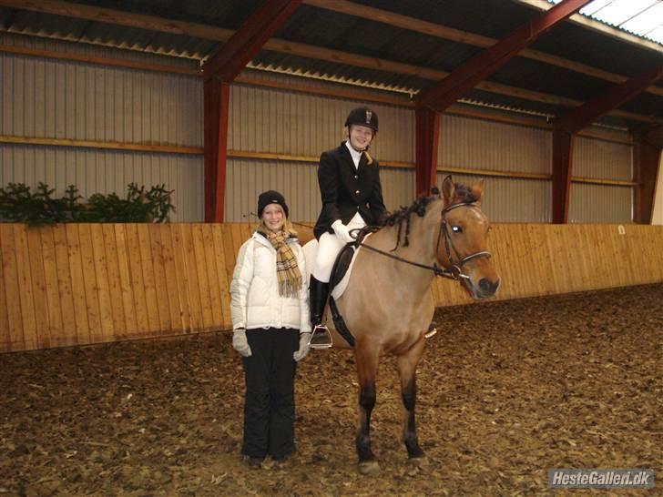 Anden særlig race Prunz (Elev Pony, Solgt) billede 19