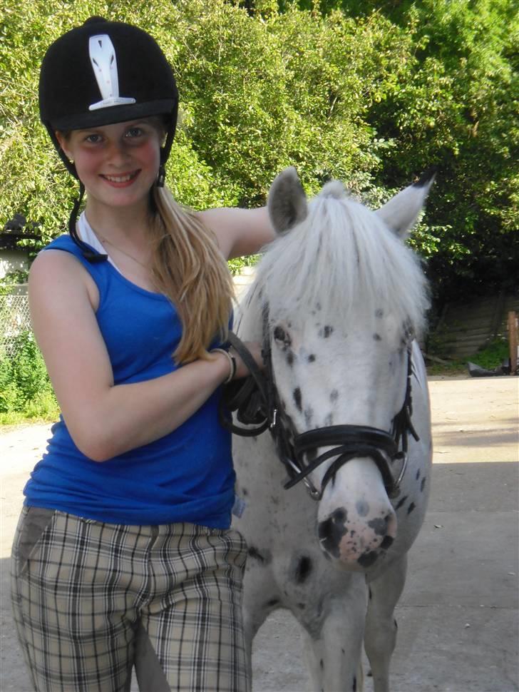 Knabstrupper           Simba af Nyholm - håber i hyggede jer, vi ses vel en dag? husk at smide en bedømmelse.. :) billede 20