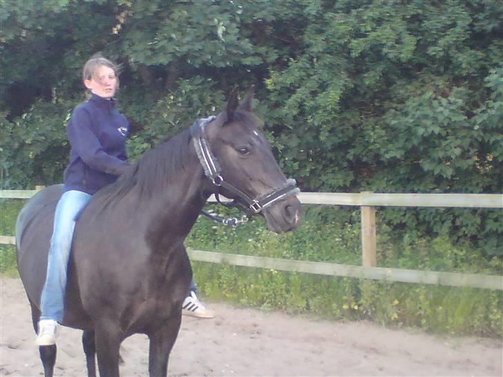 Anden særlig race Fleur  billede 19