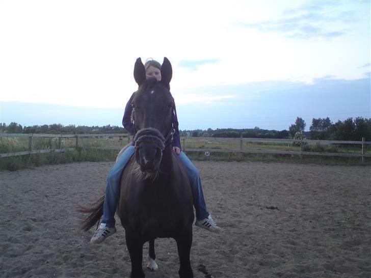 Anden særlig race Fleur  billede 20