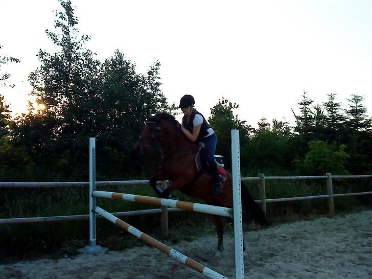 Hollandsk Sportspony Wester Aikemas Emiel <3  - sommergræs 2009. her springer vi 110<3. billede 10