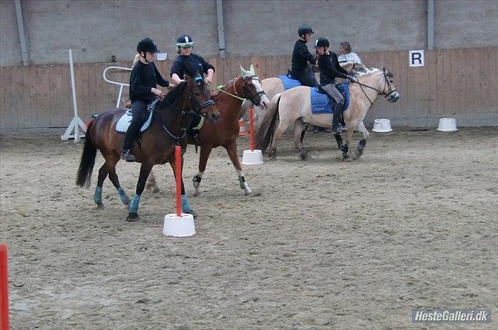 Hollandsk Sportspony Jade<3 Princess <3 :* den bedste himmel hest  - sydjyskmesterene 2010 <3 billede 5