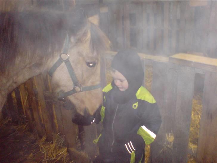 Anden særlig race Lilo *Solgt* billede 2