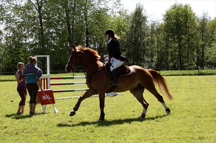 Anden særlig race Sempai - **Taget af: Josefine billede 9