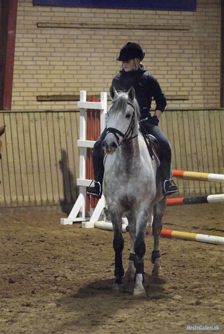 Anden særlig race Sandro.<3 - 21 oktober.<3 /foto-MB/ billede 1