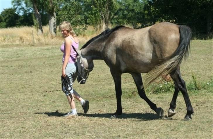 Hollandsk Sportspony Silver king  - SWilver og mig på sommerfold hos min mor. billede 2