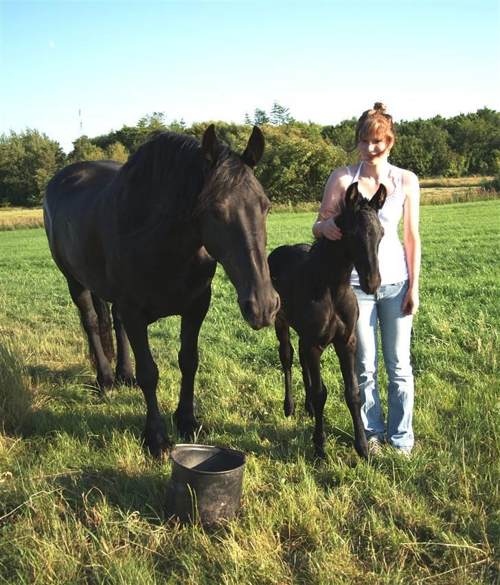 Frieser Quinty  billede 14