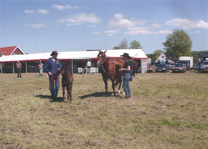 Paint One Smart Obsession (SOLGT) billede 6