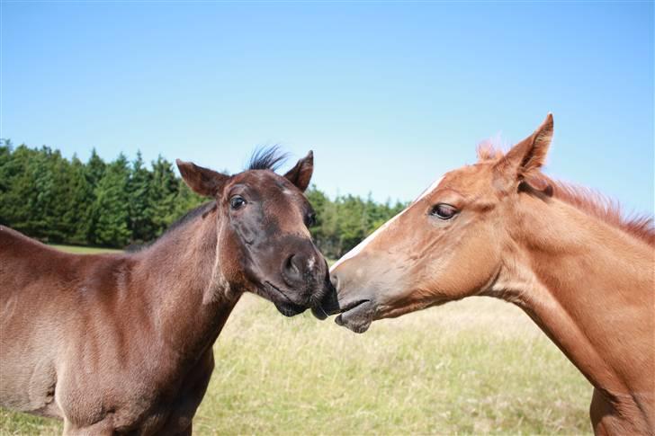 Paint One Smart Obsession (SOLGT) billede 8