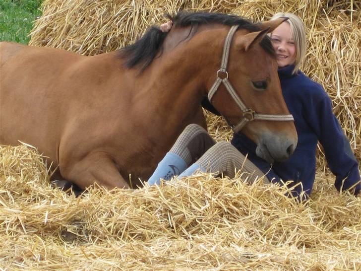 New Forest Stegstedgårds Montell - dejlig sommerdag på folden :>) <3 billede 13