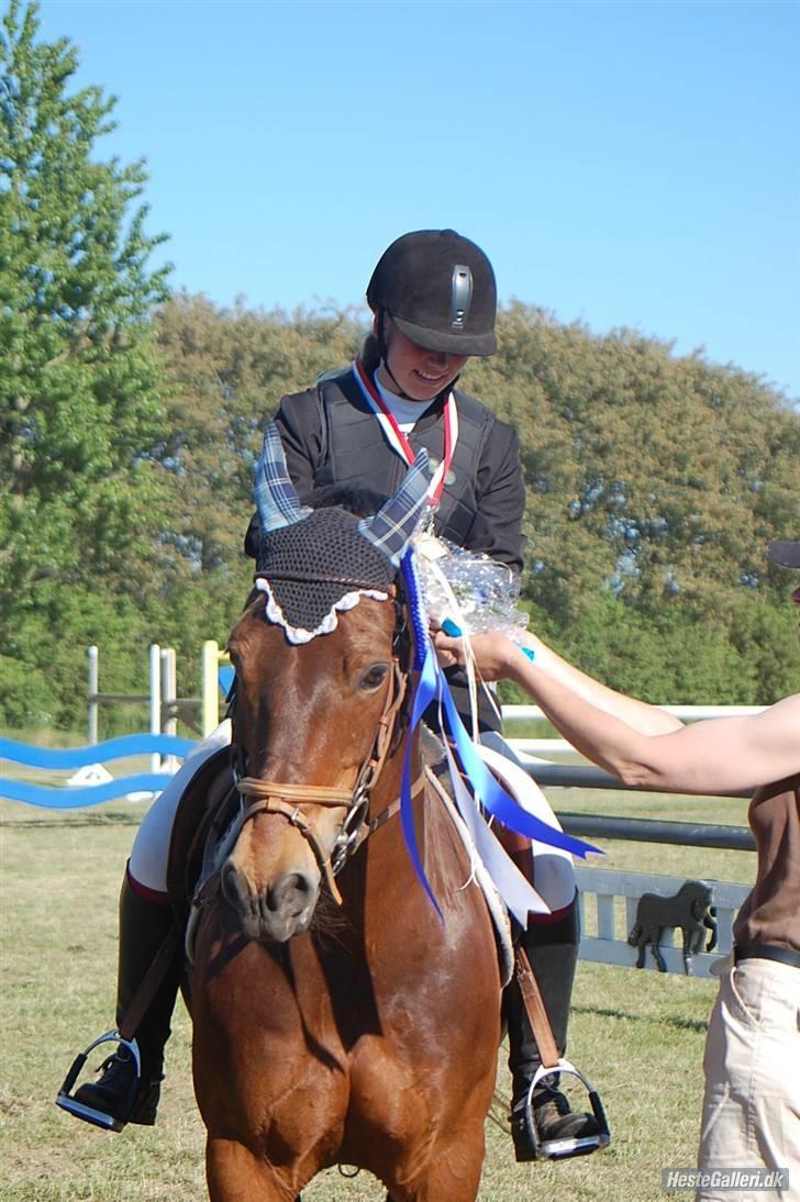 Welsh Cob (sec D) Gribvads Leading Silver - 2 plads til distriktmesterskabet for hold pony :) 2009 billede 2