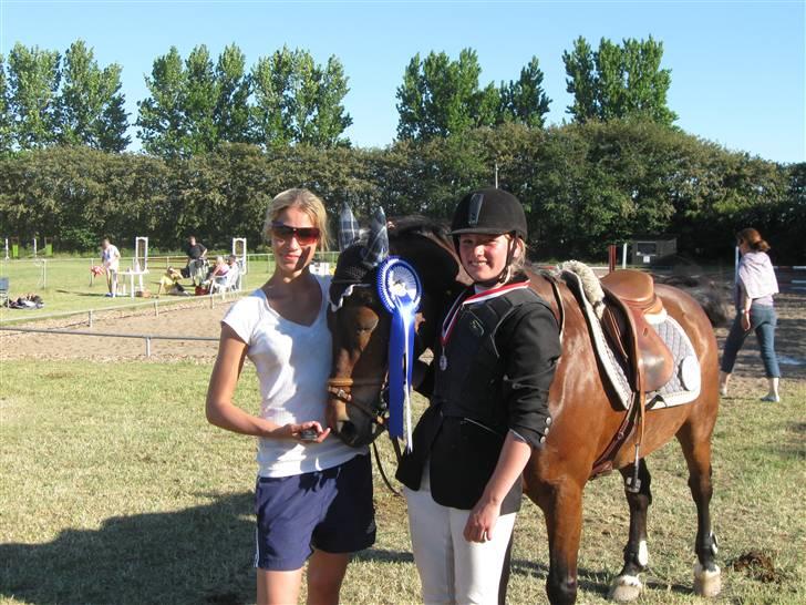 Welsh Cob (sec D) Gribvads Leading Silver - Sigrid Ryssel, Silver og mig :) billede 8