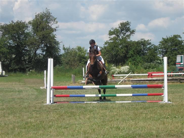 Welsh Cob (sec D) Gribvads Leading Silver - LB 1 plads Ringsted rideklub 7 sek hurtiger end 2 pladsen ca. :D billede 11