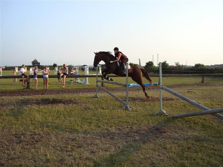 Anden særlig race Gucci  - Hodsager 4/7 09 - Oiij hun satte lige lidt stort af ;o) billede 7