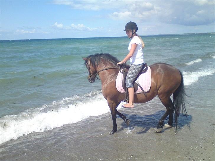 Anden særlig race Swippers *Himmelhest* - 16 ~ Swippe og mig ved stranden. Fotograf: Erling F. Madsen (far) billede 16