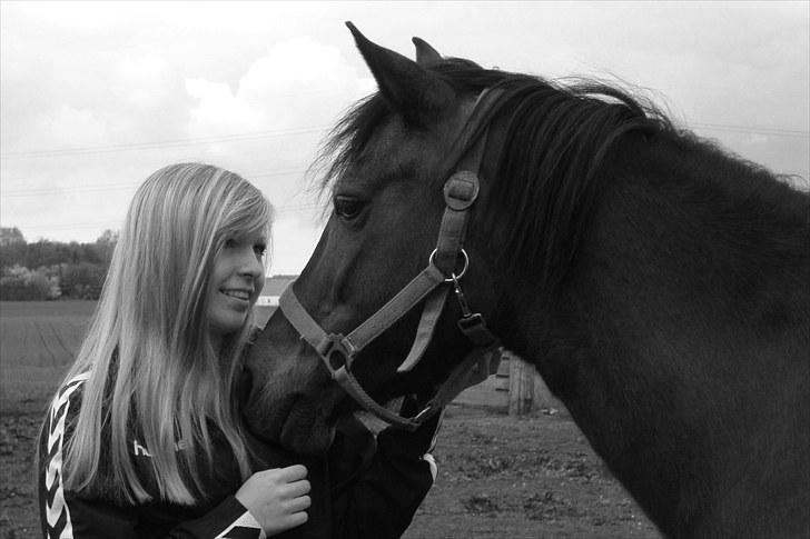 Anden særlig race Swippers *Himmelhest* - 17 ~ Swippe og mig. Fotograf: Margit K. Madsen (mor) billede 17