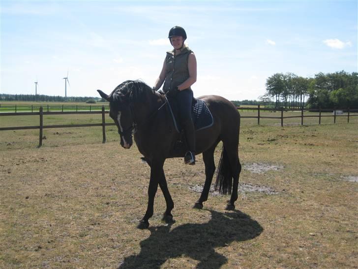 Oldenborg Tamara Sejr  billede 8