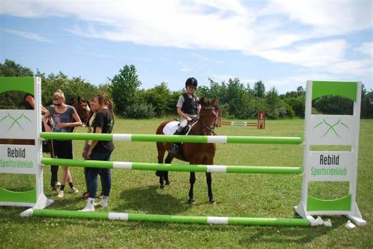 Anden særlig race Bella - Ridelejr 2009 billede 17