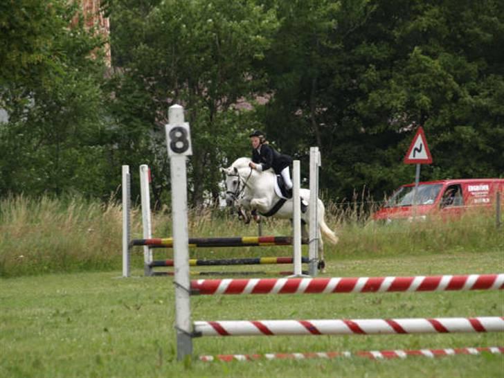 Anden særlig race Nørgårds Sanne..'<3 - Til stævnet i DRLR d. 5 Juli.. (;<3 LD. ;D<3 billede 16