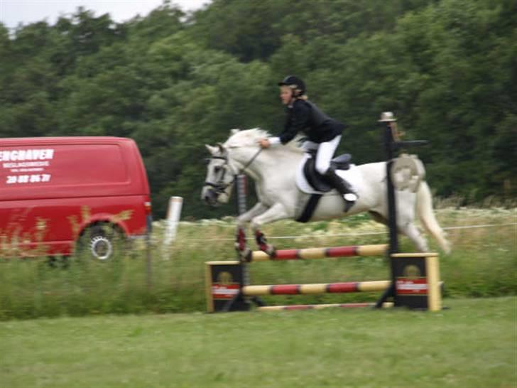 Anden særlig race Nørgårds Sanne..'<3 - Til stævne i DRLR d. 5 Juli.. ;D<3 Spring LC Clearround!:b<3 billede 17