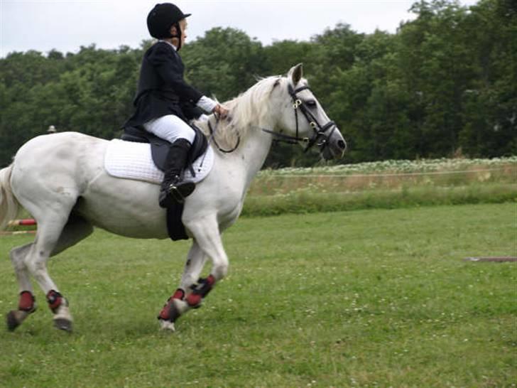 Anden særlig race Nørgårds Sanne..'<3 - Til stævnet i DRLR d. 5 Juli.. (;<3 LD. ;D<3 billede 18