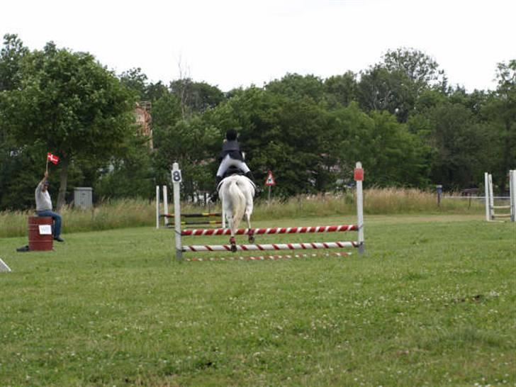 Anden særlig race Nørgårds Sanne..'<3 - Til stævne i DRLR d. 5 Juli.. ;D<3 Spring LC Clearround!:b<3 billede 19