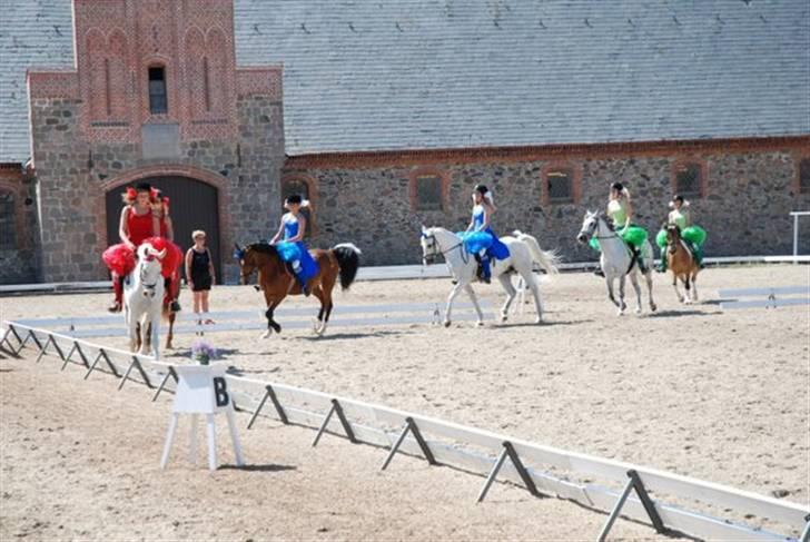 Anden særlig race Habidi billede 17