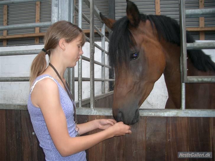 Anden særlig race Wi Linnea billede 15